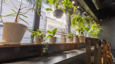 802_CafefleurLOUNGE心斎橋 レンタルスペースの室内の写真