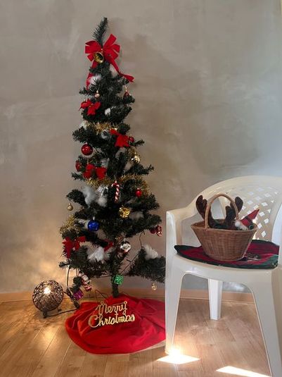 糸島ドームハウス - 糸島ドームハウス