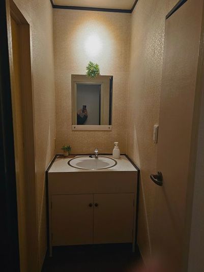 コンビニ徒歩1分。撮影・推し活・会議ができる元スナックのスペース - ミックススペース寄居