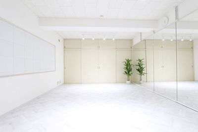 スタジオ内は550cm×370cmの空間です - Sunny Place サニープレイス錦糸町 サニープレイス錦糸町　ダンス・ヨガ・ピラティス等レンタルスタジオの室内の写真