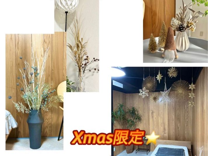 撮影スタジオ - 458_COCOTORU新小岩