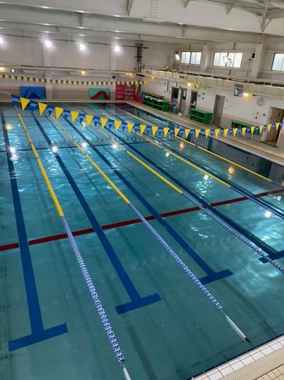 トピレックスイムクラブアヤセ 屋内プール他を独占使用可能！（但し夜間、早朝に限る）の室内の写真