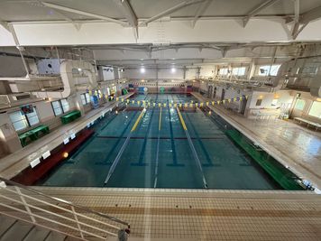 トピレックスイムクラブアヤセ 屋内プール他を独占使用可能！（但し夜間、早朝に限る）の室内の写真