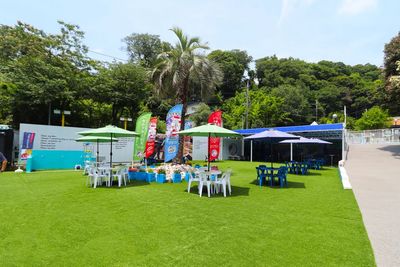 シンボルツリーのメインエリア、コートエリア、中型小型犬エリア、小型犬エリアの全エリア貸切 - DOG RUN CHIRO&PERO