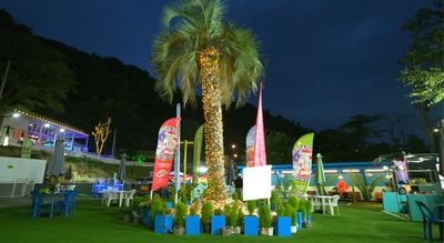 【貸切可能】大型犬ものびのび遊べるメインエリア!ワンちゃんに優しいドッグラン  ​人工芝だから泥んこにならない！ - DOG RUN CHIRO&PERO