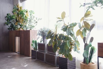 Studio Sweets box 鶯谷 【商用利用】ビターキャラメル[多目的スタジオ]の室内の写真