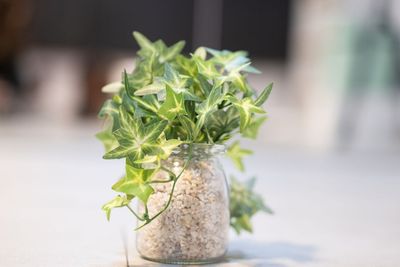 レンタルスタジオ　PALETTE千歳船橋店 千歳船橋駅徒歩1分🚶レンタルスタジオ　PALETTE千歳船橋店の室内の写真