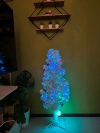 クリスマスツリー - 市川駅前としょかんのうらいちかわ 市川駅前レンタルスペース・サロン・会議室「としょかんのうら市川」の設備の写真