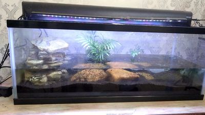 90ｃｍ水草のみの水槽あります - レンタルスペース夕顔瀬 2階C室・ペット可能・無料駐車場有の室内の写真