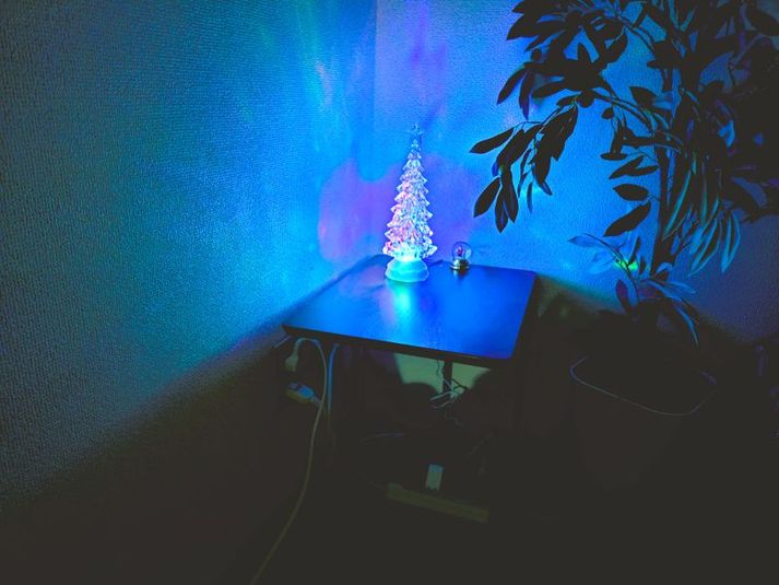 sunsun三宮 - ワイワイの実☆彡 sunsun三ノ宮