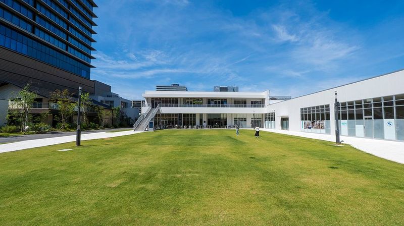 イベントスペース芝生広場 - LIVINGTOWN みなとみらい