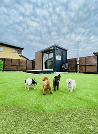 ドッグランとしての利用イメージ - レンタルスペースひふみの室内の写真