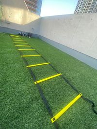 ラダー(屋上トレーニング用) - 貸切レンタルジム武蔵小山(スミスマシン×サンドバッグ) 【駅徒歩２分/超高濃度水素水飲み放題】レンタルジムHBT武蔵小山の設備の写真