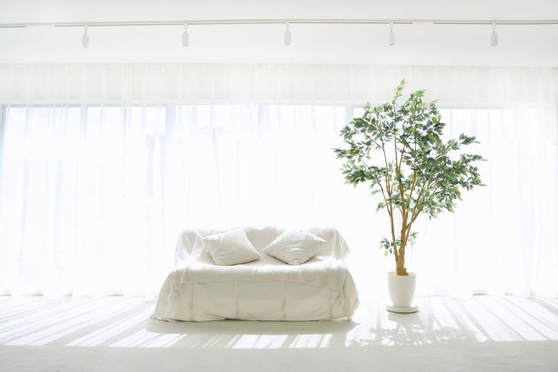 STUDIO「μ」（スタジオミュー）｜新横浜・W自然光・機材無料 - STUDIO「μ」（スタジオミュー）　