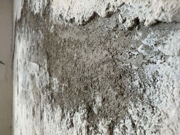 ルーム3（撮影スタジオ内）：
はがれた落ちた壁をリアルに再現しています。 - ヴィンテージ撮影スタジオ DOT2（ドットツー）の室内の写真