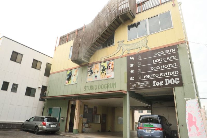 犬OK貸切室内ドッグラン - スタジオドッグラン