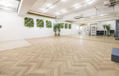 【永福町駅4分】広々40㎡超/大型鏡計6m超/調光調色/ダンス・ポージング・演劇・撮影・楽器演奏可☆/プロ監修撮影スペースも併設 - Studio Green & FOTO 永福町