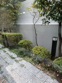 店内から見える小庭 - コワーキングスペースKanoa 土日コワーキングスペースの外観の写真