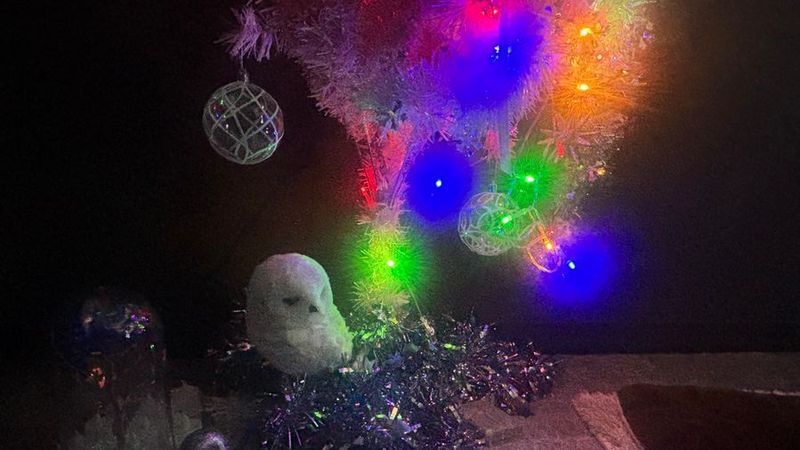 完全個室✨おうち映画館🎬【シアター京都401】 - シアター401