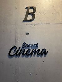 玄関の雰囲気です - レンタルスペース　シークレットシネマ 大人の秘密基地🎬120㌅大画面シアター｜高音高画質の入口の写真