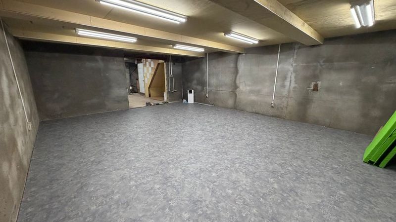 新世紀海賊スタジオ 【中野・新中野】床が柔らかい｜練習場｜アクション練習OK｜撮影可の室内の写真