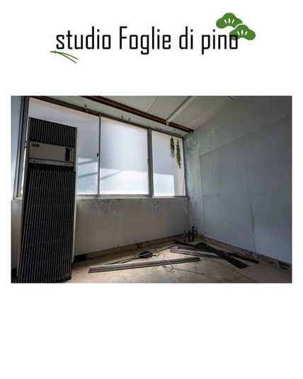 Studio Foglie di pino - Studio Foglie di pino
