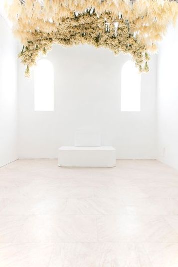 FOTO永福町 - Studio Green & FOTO 永福町