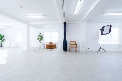 都内の白ホリ自然光 撮影スタジオ 白壁×アーチ×植物×ブランコ｜感情を引き出す光のスタジオの室内の写真