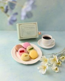 COZY SQUARE self photo studio セルフフォトスタジオのその他の写真