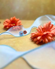 COZY SQUARE self photo studio セルフフォトスタジオのその他の写真