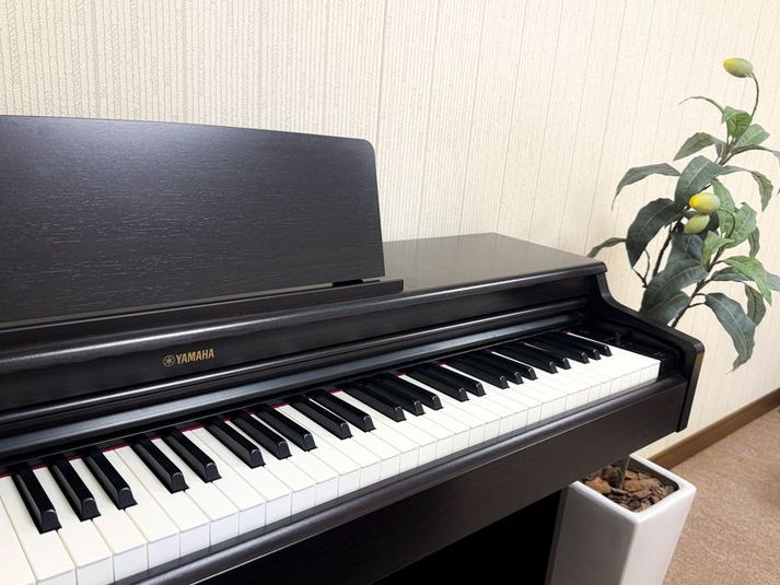 YAMAHA電子ピアノ併設♪重めでピアノに近い深い響き、3本ペダル、192ポリフォニーで初心者の方中級者の方に最適なYAMAHA製YDP-164♪ - 完全防音室のダンス・音楽スタジオ『562』（ごろにゃん）の設備の写真
