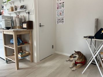 犬と一緒に使える、静かで落ち着いたレンタルスペース - ジョイフル六甲Ⅱ