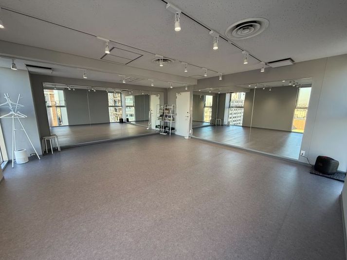 ルービー宮崎台 スタジオ（ルービー宮崎台　room4）の室内の写真