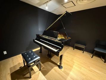 ルービー宮崎台 音楽ルーム（ルービー宮崎台　room5）の室内の写真