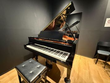 ルービー中延 音楽ルーム（ルービー中延　【room2】）の室内の写真