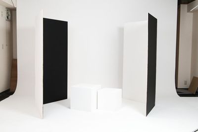 カポック、サイコロ - Studio ZONA 市ヶ谷店 Studio ZONA 市ヶ谷店 白ホリ撮影スタジオの設備の写真