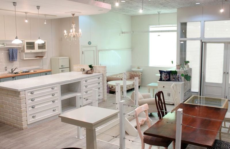 フリースペース　ハグペットギャラリー　一宮猿海道 - フリースペース　ハグペットギャラリー