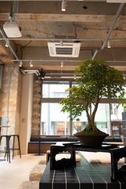 盆栽があります - ShareOffice（シェアオフィス）結う-You- カフェ店舗のスペースレンタルの室内の写真