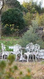 庭 - クロア伊豆高原 撮影専用ハウススタジオ 庭付き一軒家3階建『クロア伊豆高原』のその他の写真