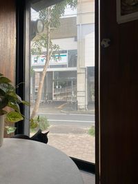 ギャラリーカフェ店内
目の前は駅 - メゾン　ド　バロン　レンタルスペースの室内の写真