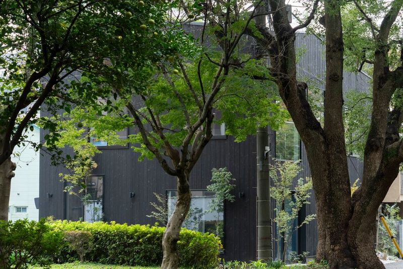 MIDORI.so AOYAMA　屋上 - MIDORI.so Aoyama