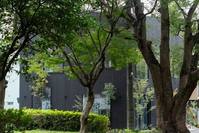 MIDORI.so Aoyama MIDORI.so AOYAMA　屋上の外観の写真