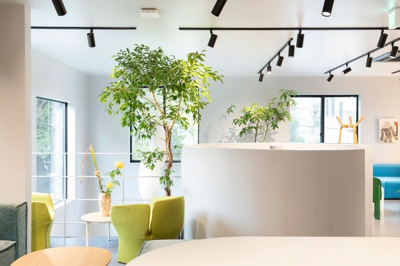 MIDORI.so Aoyama ラウンジ - MIDORI.so Aoyama