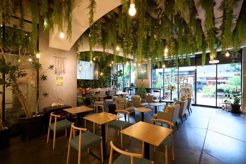 緑あふれるカフェスペース - AOU銀座の森