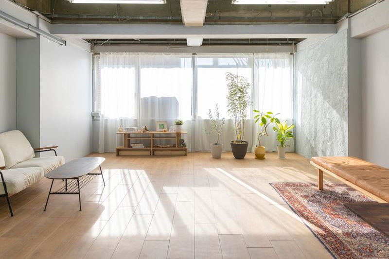 【優しい光の撮影空間】ROOMスタジオ - ハレルフォト