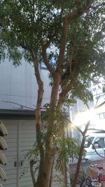 樹木。 - ブティックナカムラ ブティックナカムラ駐車場の室内の写真