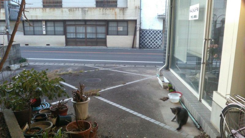 ブティックナカムラ駐車場 - ブティックナカムラ