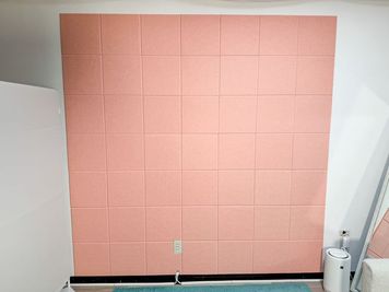 肌映りがよく、可愛らしい雰囲気を演出できるピンク背景をご用意しています - レピーロ小岩 自然光あふれる多目的スペース レピーロ小岩の設備の写真