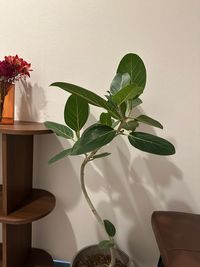 プランドール ネイルレンタルスペースの入口の写真