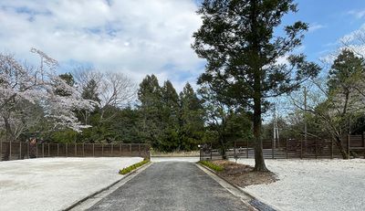 NAGONO WORK BAR & SAUNA AOU no MORI【NIWA 】の室内の写真